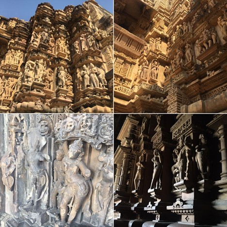 デリー現地コーディネーター